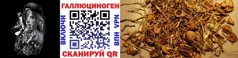 Псилоцибиновые грибы прущие грибы  Собинка 